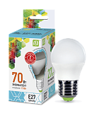 �� LED-���-standart 7.5�� 160-260� �27 4000� 600�� ASD